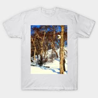 A Birds' House on Nikolskaya Hill, Petropavlovsk, Kamchatka, Russia. T-Shirt